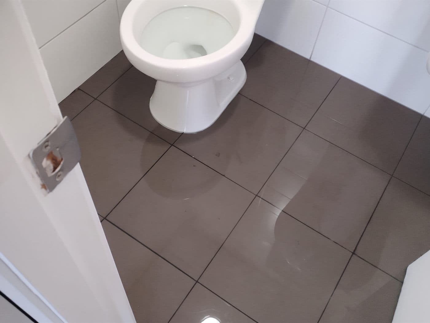 WC nuevo instalado en un baño pequeño de piso gris porcelanato