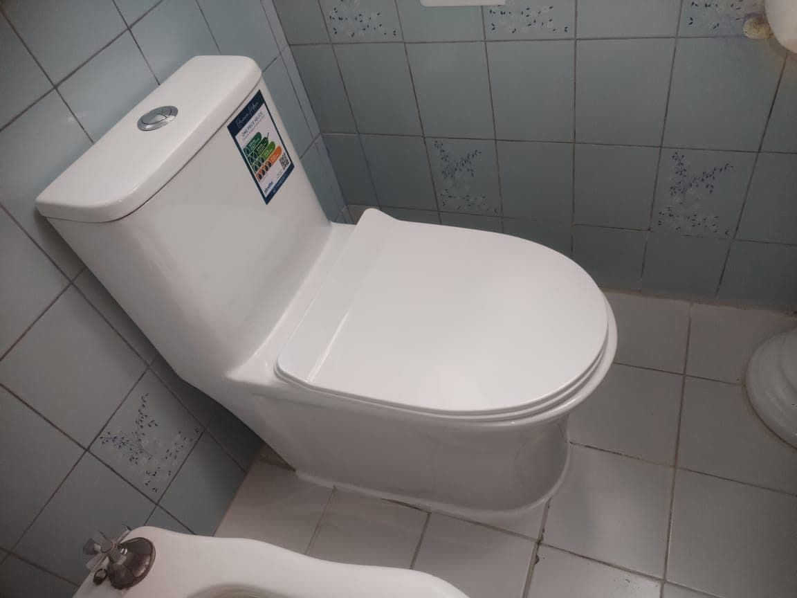 WC de dos piezas con estanque instalado en un baño de cerámica celeste